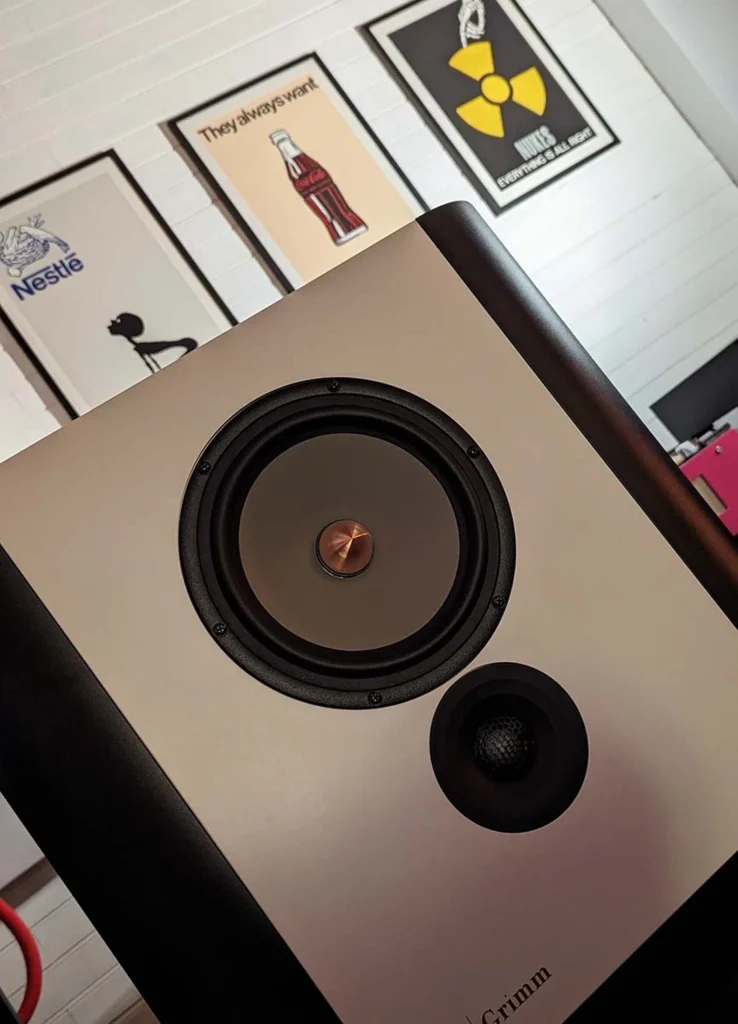 HI FI PIG Sur Le Systeme Complet Grimm Audio LS1be 03