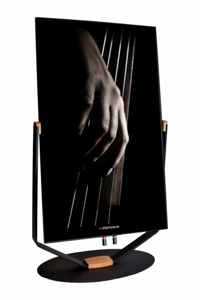 Hi Fi Pig Sur Les Enceintes Diptyque Audio Dp77 03