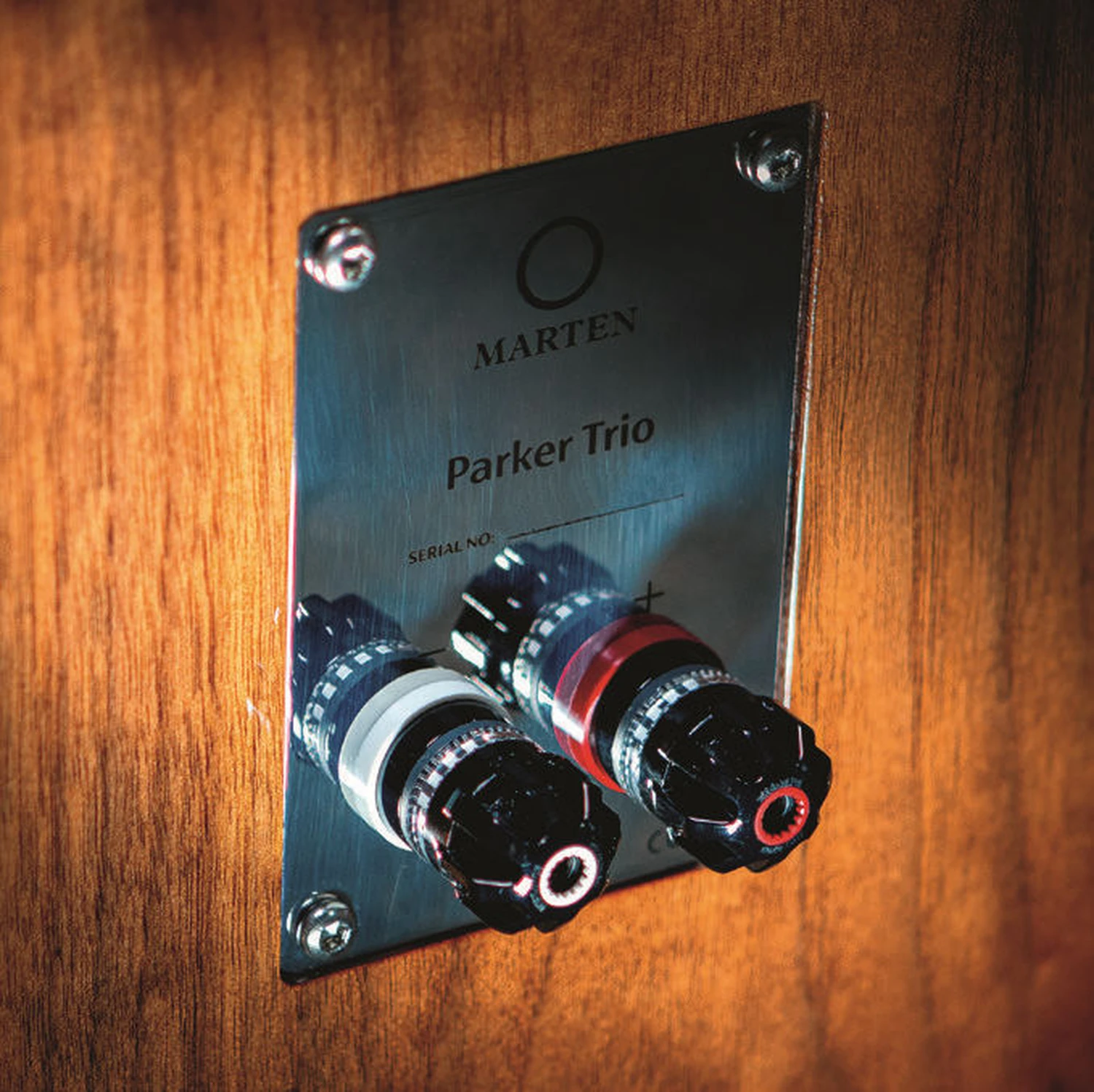 Hi-Fi i Muzyka sur l’enceinte Marten Parker Trio 05