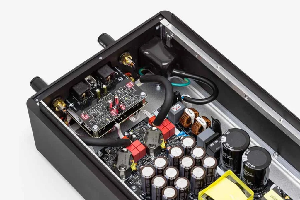 HiFi Pig sur l’amplificateur stéréo Mola-Mola Perca 05