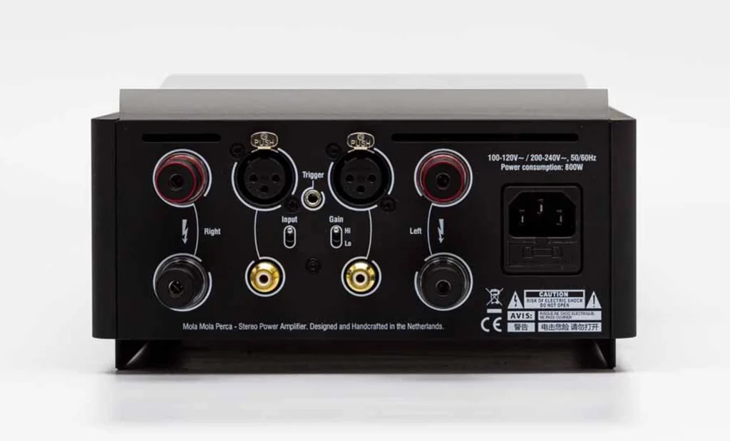 HiFi Pig sur l’amplificateur stéréo Mola-Mola Perca 07