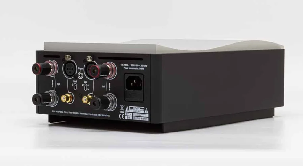 HiFi Pig sur l’amplificateur stéréo Mola-Mola Perca 08