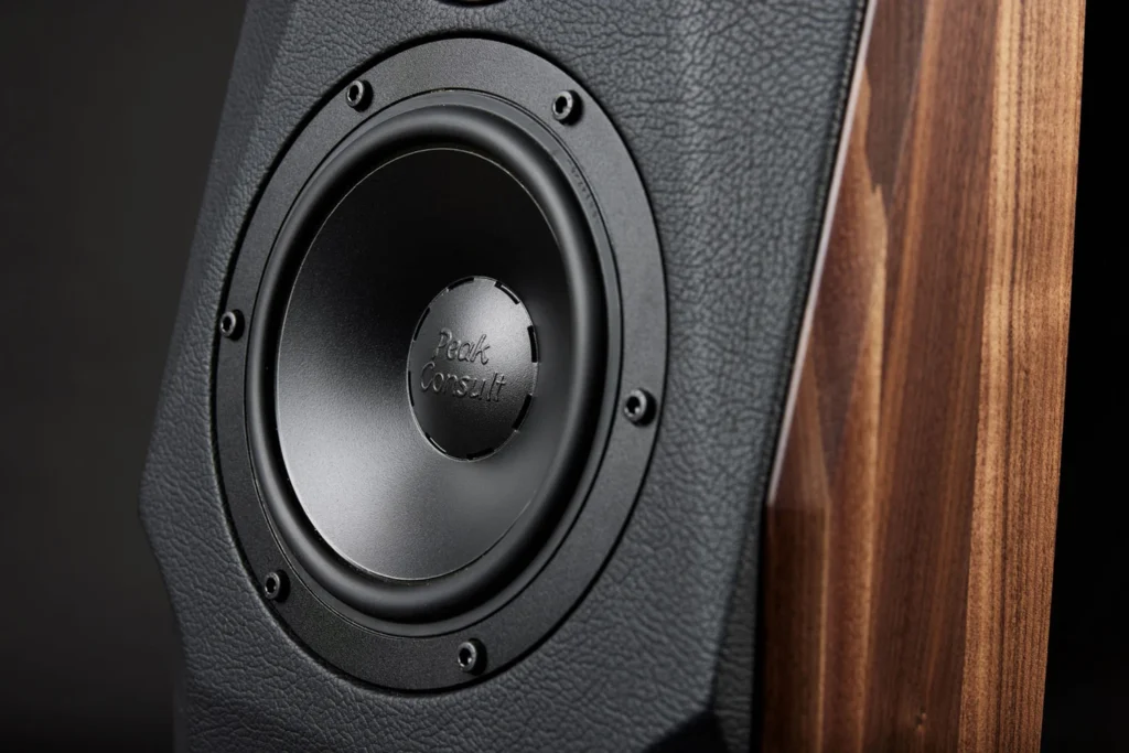 Low Beats sur l’enceinte Peak Consult Sonora 07