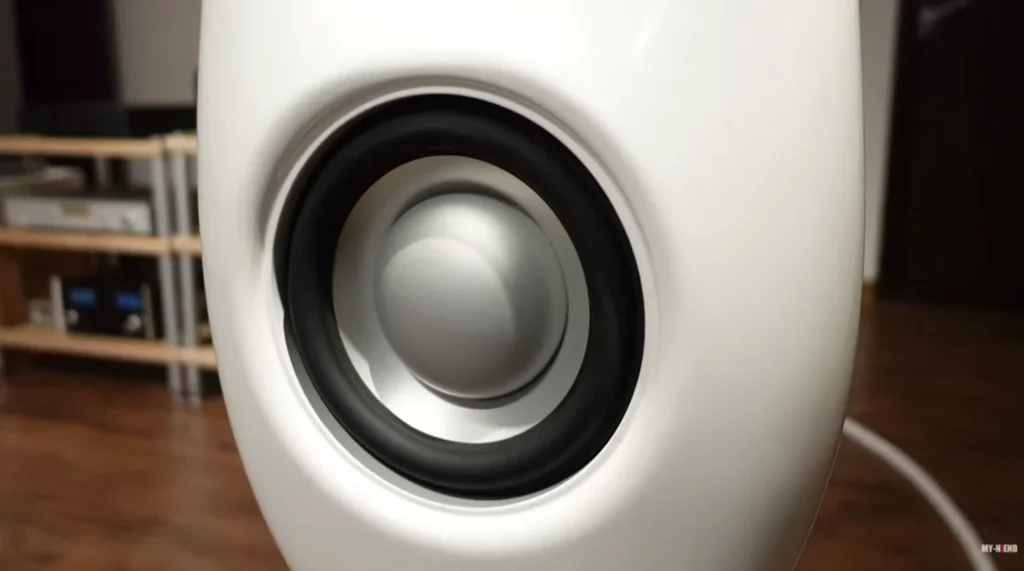 MY HiEND Fait Une Video Sur Les Vivid Audio Kaya S12 5