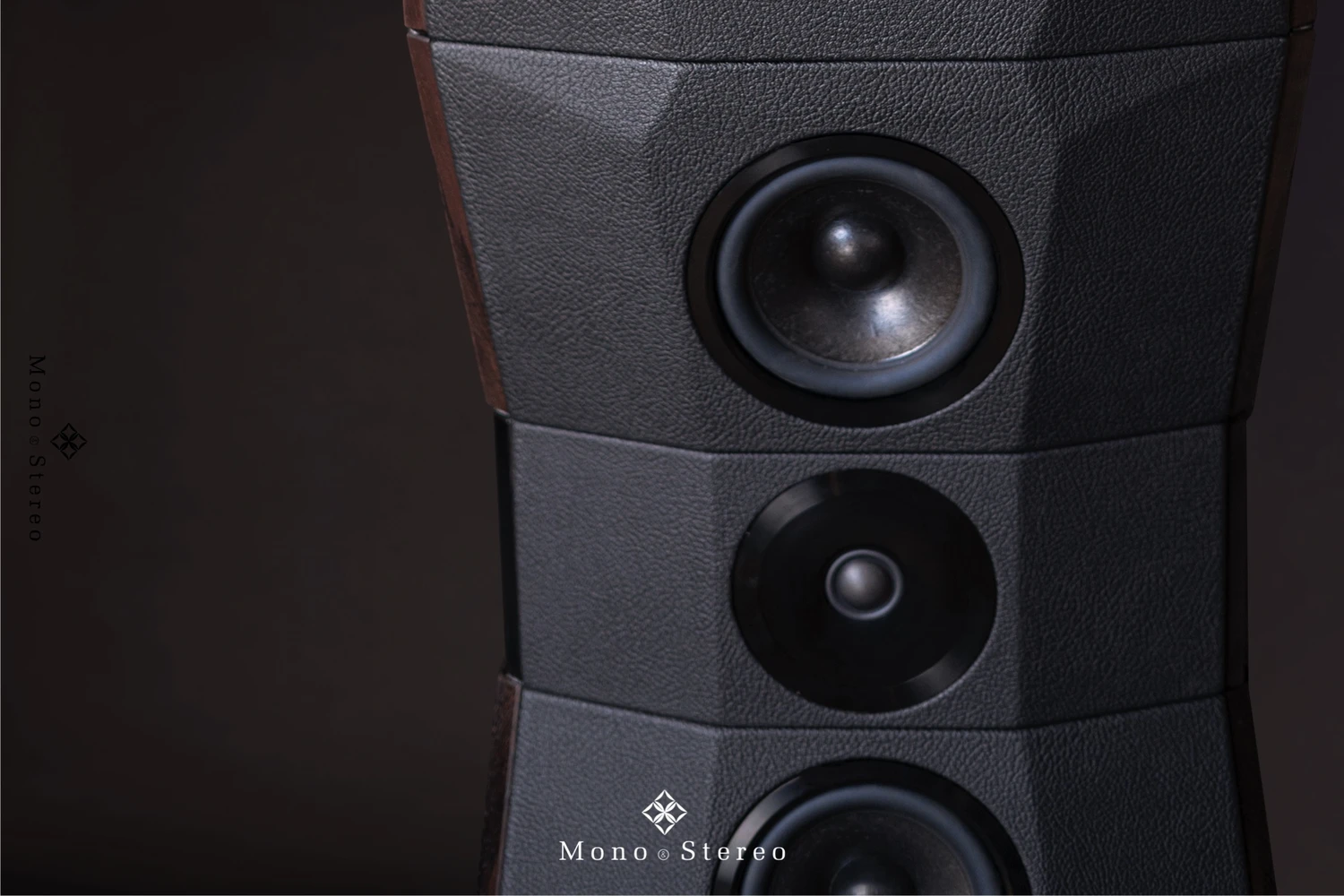 Mono&Stereo sur les enceintes Peak Consult Dragon Legacy 03