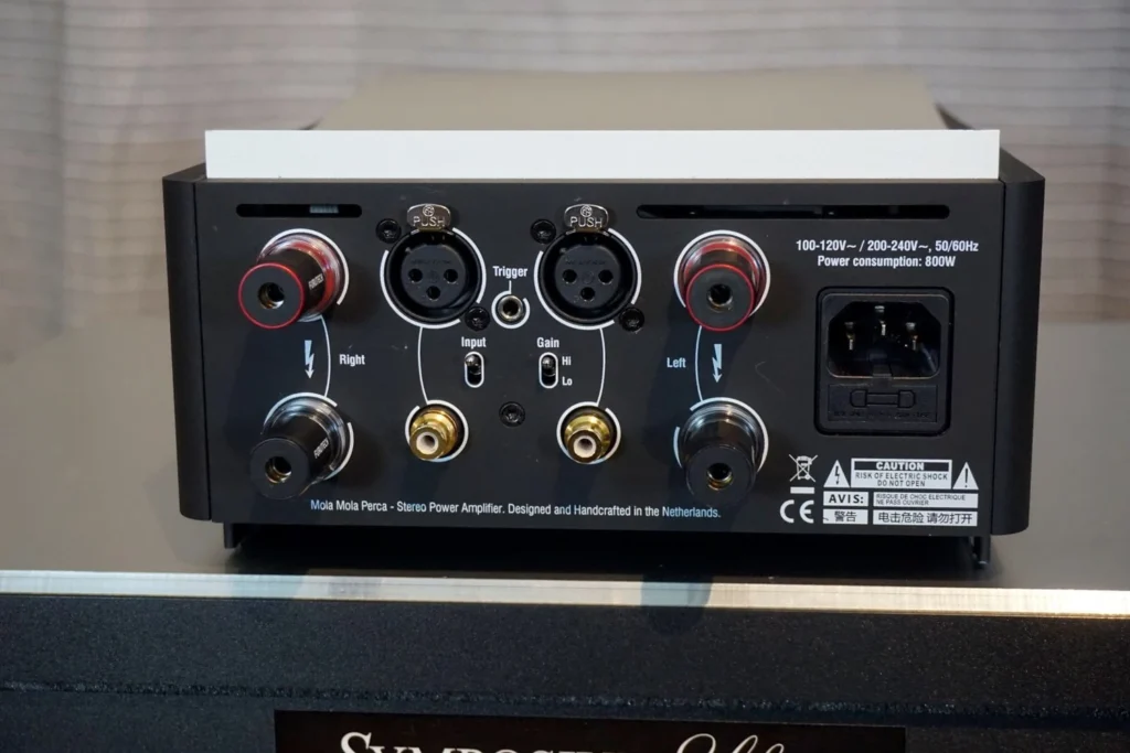 Part-Time Audio sur l’ampli stéréo Mola-Mola Perca 03