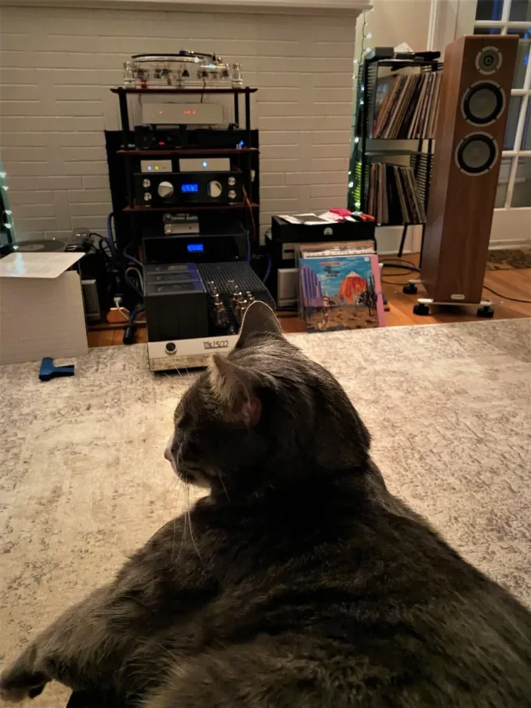 Part-Time Audio sur les enceintes Marten Oscar Trio (5)